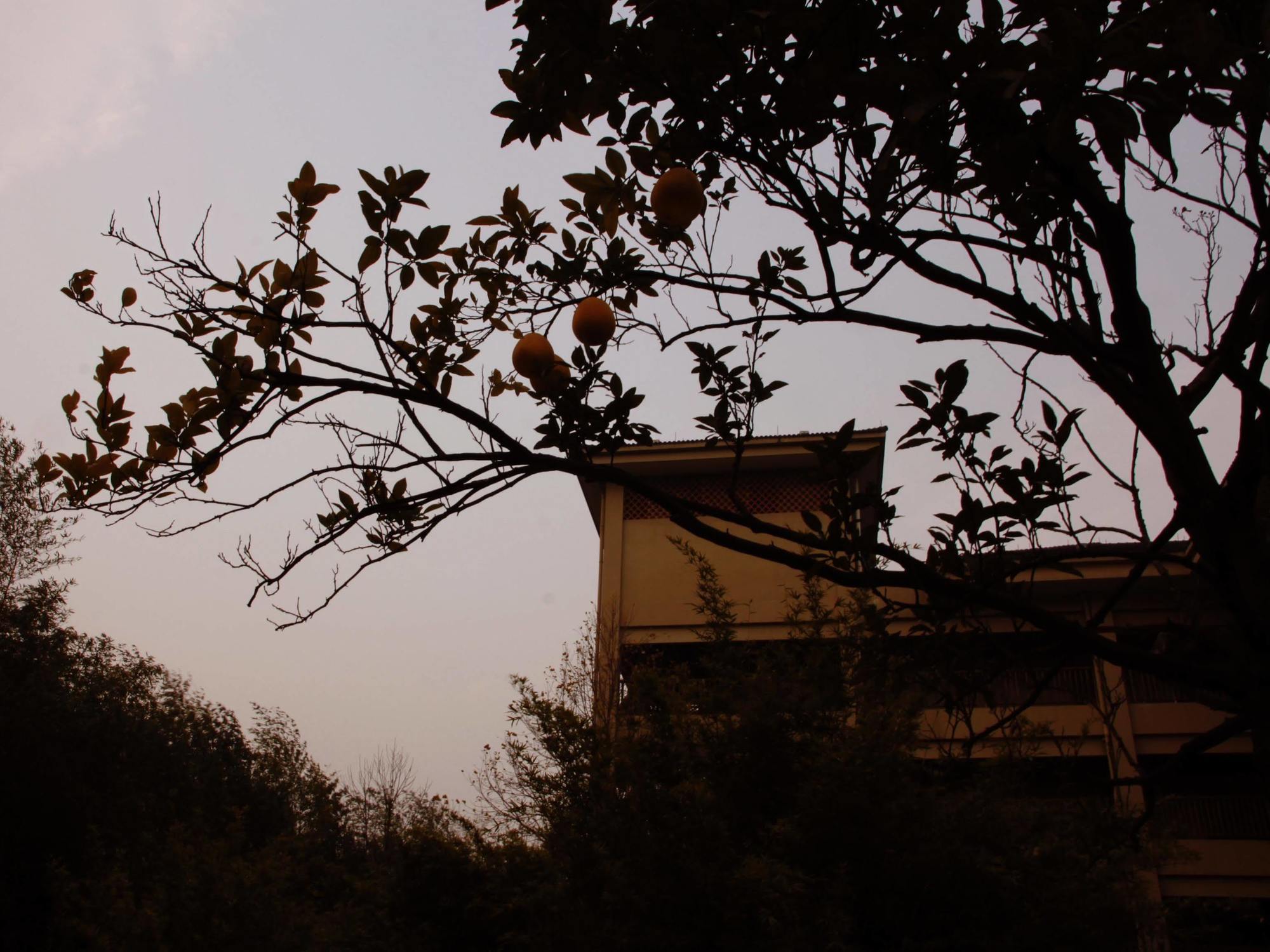 Hna Resort Yunqi Hangzhou Exterior foto